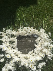 Daisies surround the monument to Daisy Williams during the Founder's Day ceremony, 2015.