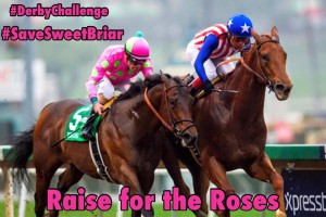 Kentucky Derby Challenge