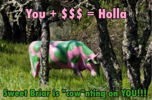 One of the brilliant memes created during the social media campaign to save Sweet Briar College.